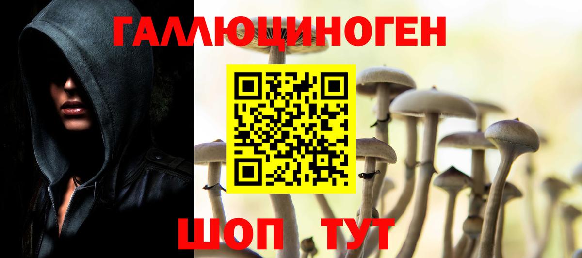 Псилоцибиновые грибы GOLDEN TEACHER  Псилоцибиновые грибы мицелий  Каменка  Вход с VPN 