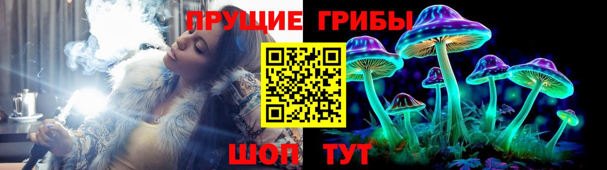 Галлюциногенные грибы мицелий Каменка